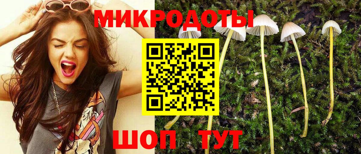 Галлюциногенные грибы GOLDEN TEACHER  Вход с VPN  Дзержинский 
